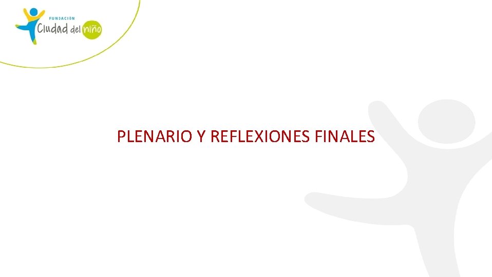 PLENARIO Y REFLEXIONES FINALES 