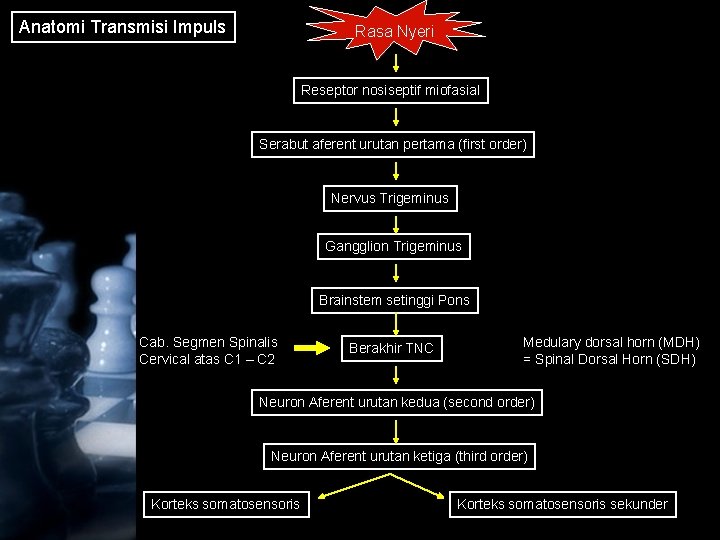 Anatomi Transmisi Impuls Rasa Nyeri Reseptor nosiseptif miofasial Serabut aferent urutan pertama (first order)