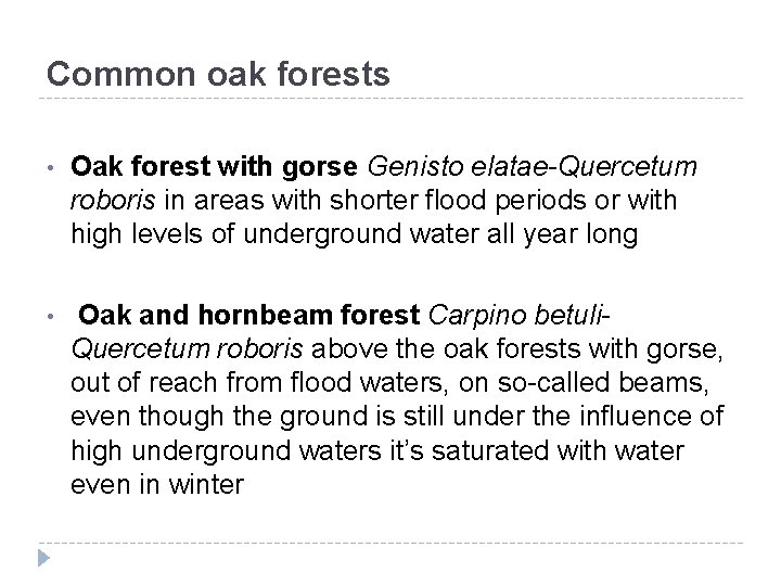 Common oak forests • Oak forest with gorse Genisto elatae-Quercetum roboris in areas with