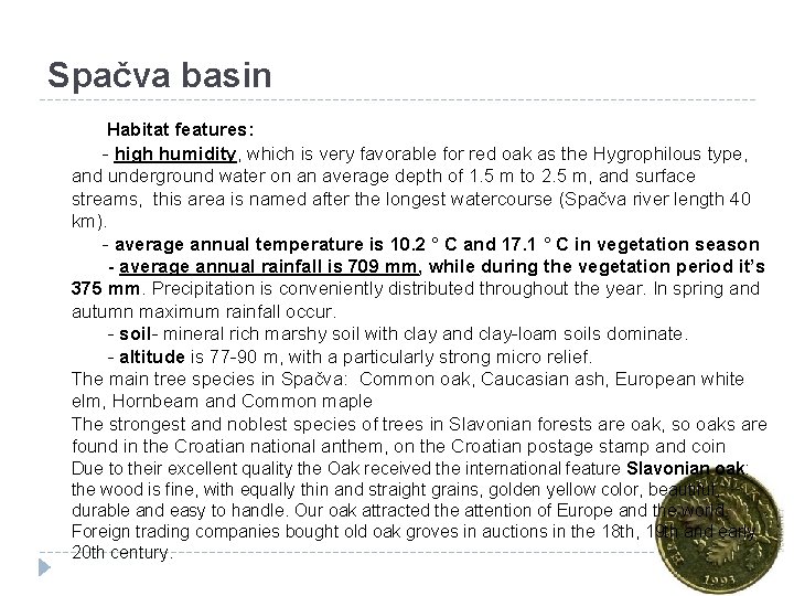 Spačva basin Habitat features: - high humidity, which is very favorable for red oak