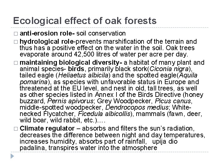 Ecological effect of oak forests � anti-erosion role- soil conservation � hydrological role-prevents marshification Ecological effect of oak forests � anti-erosion role- soil conservation � hydrological role-prevents marshification