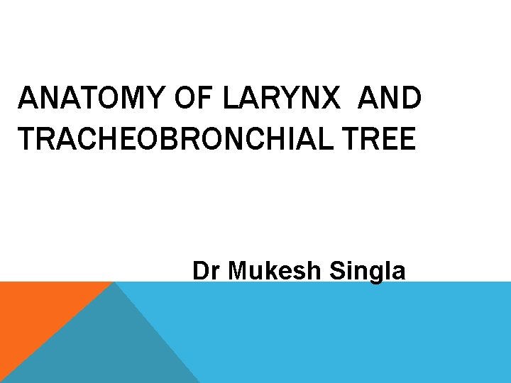 ANATOMY OF LARYNX AND TRACHEOBRONCHIAL TREE Dr Mukesh Singla 