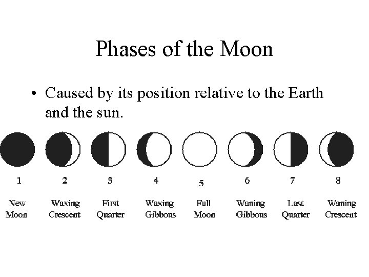 Phases of the Moon • Caused by its position relative to the Earth and