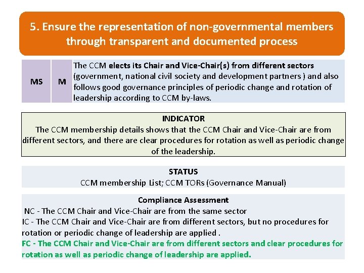 5. Ensure the representation of non-governmental members through transparent and documented process MS The