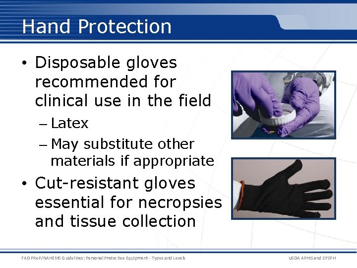 Hand Protection • Disposable gloves recommended for clinical use in the field – Latex