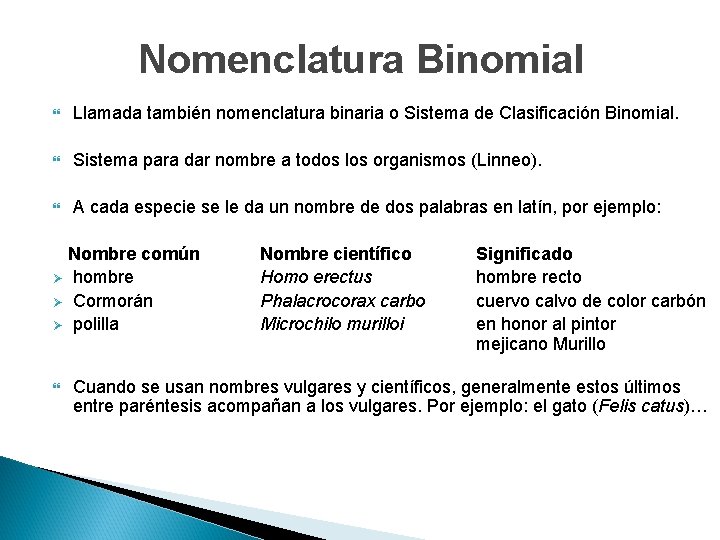 Nomenclatura Binomial Llamada también nomenclatura binaria o Sistema de Clasificación Binomial. Sistema para dar