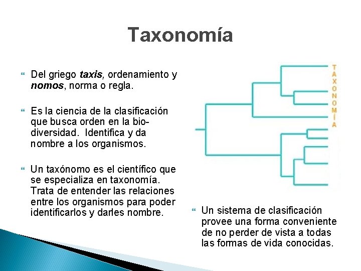 Taxonomía Del griego taxis, ordenamiento y nomos, norma o regla. Es la ciencia de