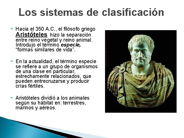 Los sistemas de clasificación Hacia el 350 A. C. , el filósofo griego Aristóteles