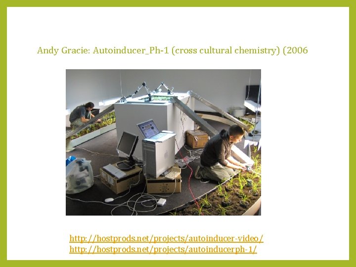 Andy Gracie: Autoinducer_Ph-1 (cross cultural chemistry) (2006 http: //hostprods. net/projects/autoinducer-video/ http: //hostprods. net/projects/autoinducerph-1/ 