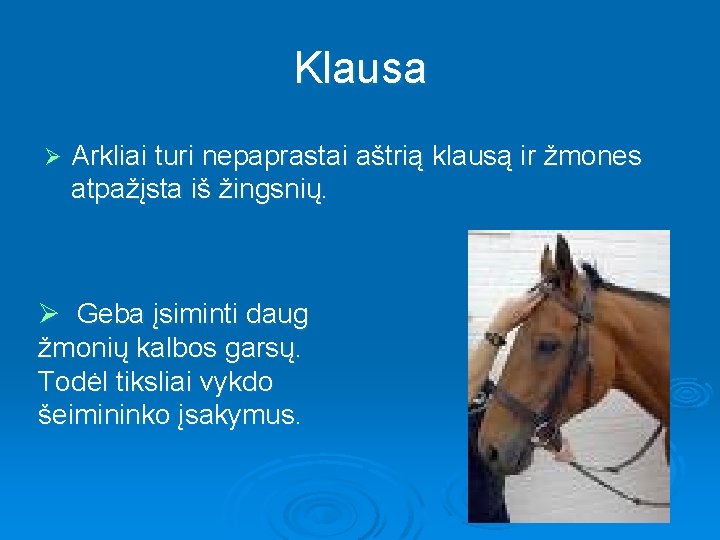 Klausa Ø Arkliai turi nepaprastai aštrią klausą ir žmones atpažįsta iš žingsnių. Ø Geba