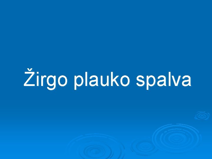 Žirgo plauko spalva 