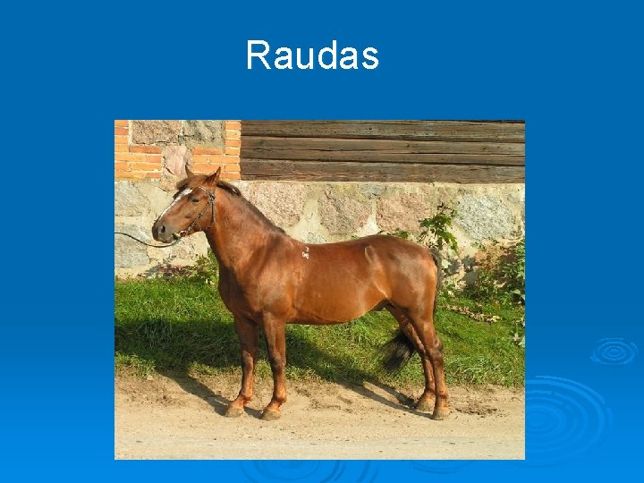 Raudas 