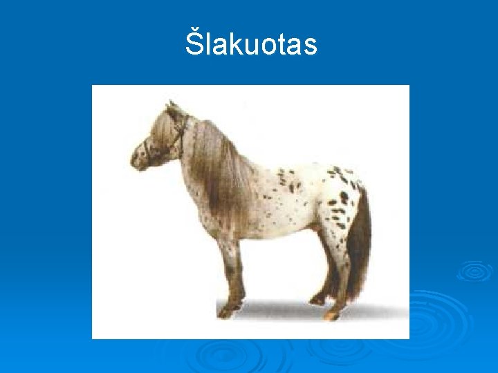 Šlakuotas 