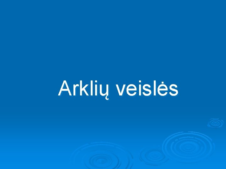 Arklių veislės 