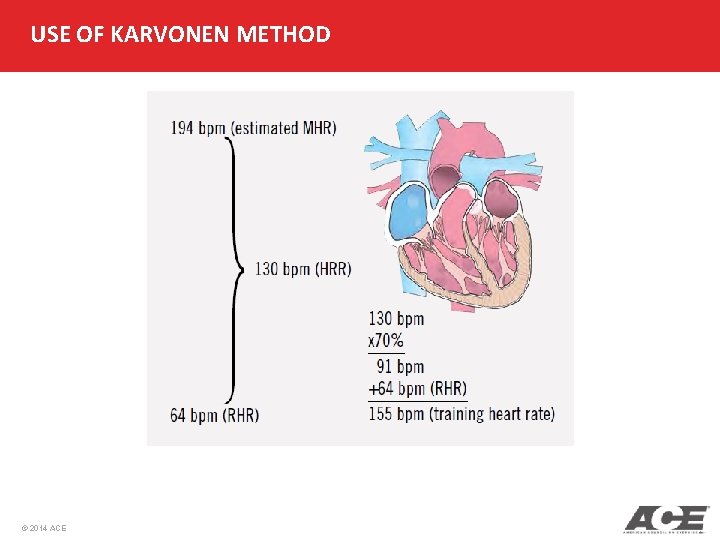 USE OF KARVONEN METHOD © 2014 ACE 