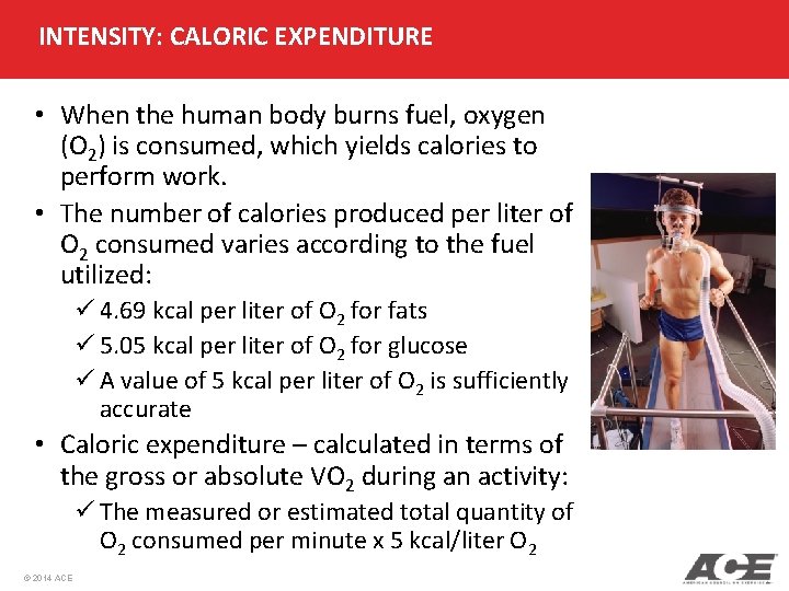 INTENSITY: CALORIC EXPENDITURE • When the human body burns fuel, oxygen (O 2) is