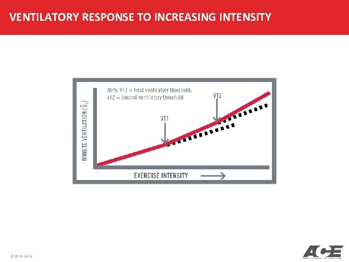 VENTILATORY RESPONSE TO INCREASING INTENSITY © 2014 ACE 