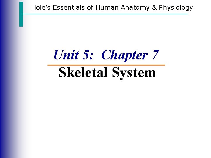 Hole’s Essentials of Human Anatomy & Physiology Unit 5: Chapter 7 Skeletal System Hole’s Essentials of Human Anatomy & Physiology Unit 5: Chapter 7 Skeletal System