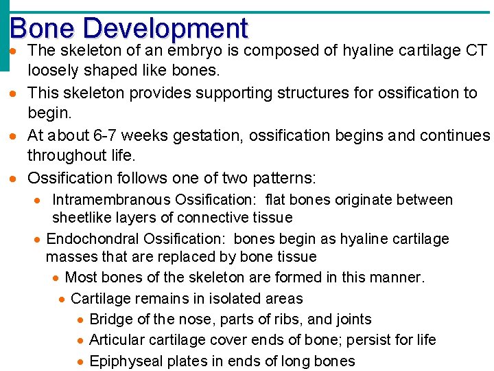 Bone Development · The skeleton of an embryo is composed of hyaline cartilage CT