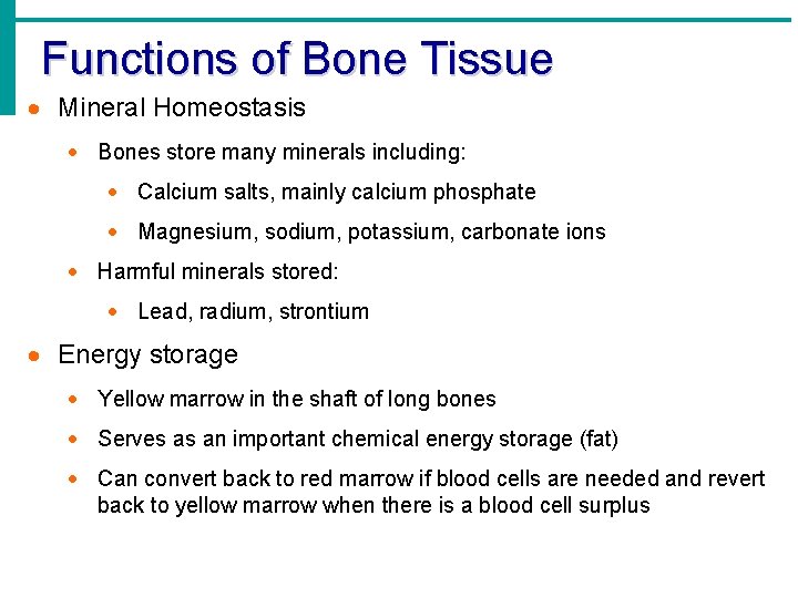 Functions of Bone Tissue · Mineral Homeostasis · Bones store many minerals including: · Functions of Bone Tissue · Mineral Homeostasis · Bones store many minerals including: ·