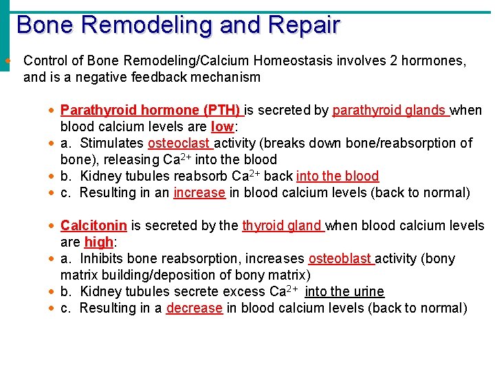 Bone Remodeling and Repair · Control of Bone Remodeling/Calcium Homeostasis involves 2 hormones, and