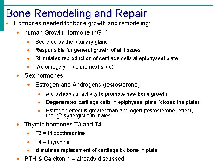 Bone Remodeling and Repair · Hormones needed for bone growth and remodeling: · human