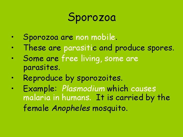 Sporozoa • • • Sporozoa are non mobile. These are parasitic and produce spores.