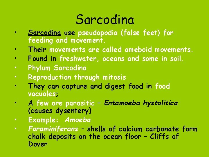  • • • Sarcodina use pseudopodia (false feet) for feeding and movement. Their