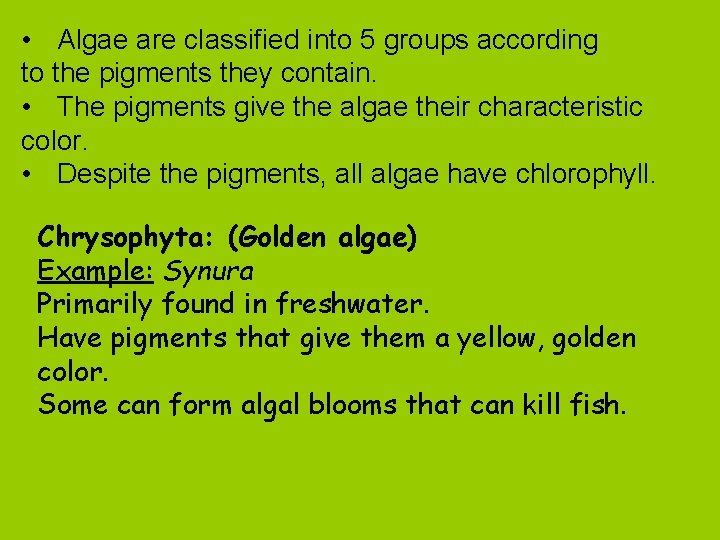  • Algae are classified into 5 groups according to the pigments they contain.