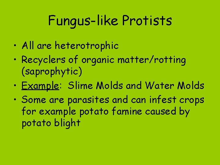 Fungus-like Protists • All are heterotrophic • Recyclers of organic matter/rotting (saprophytic) • Example: