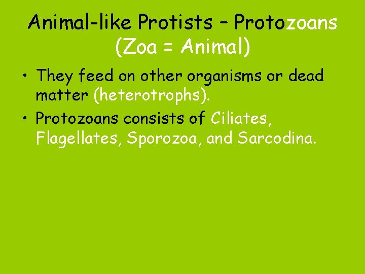 Animal-like Protists – Protozoans (Zoa = Animal) • They feed on other organisms or