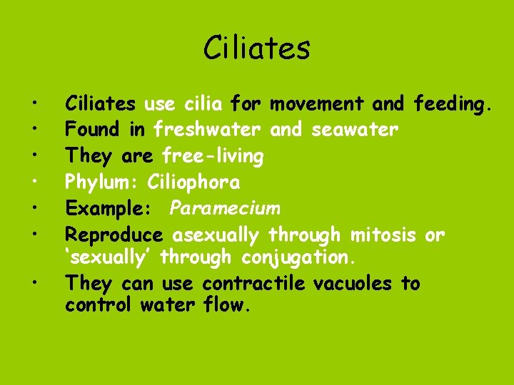 Ciliates • • Ciliates use cilia for movement and feeding. Found in freshwater and