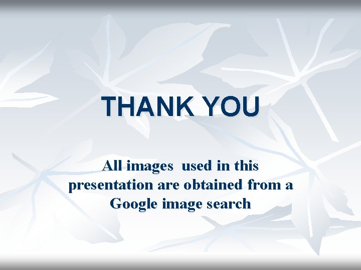 THANK YOU All images used in this presentation are obtained from a Google image
