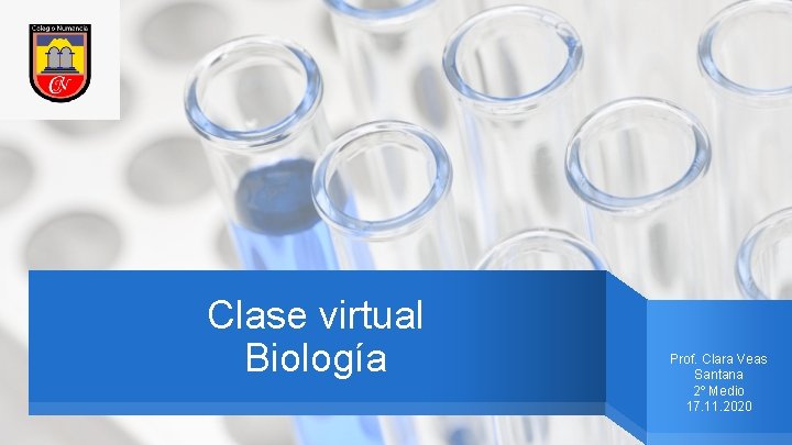 Clase virtual Biología Prof. Clara Veas Santana 2º Medio 17. 11. 2020 
