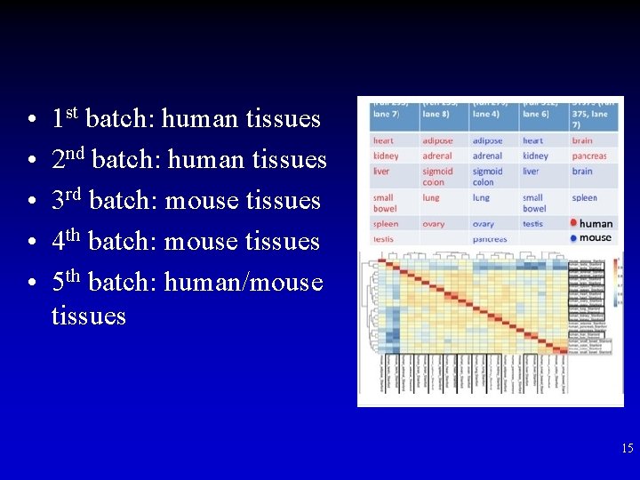  • • • 1 st batch: human tissues 2 nd batch: human tissues