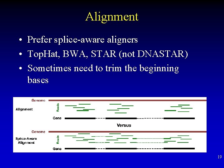 Alignment • Prefer splice-aware aligners • Top. Hat, BWA, STAR (not DNASTAR) • Sometimes