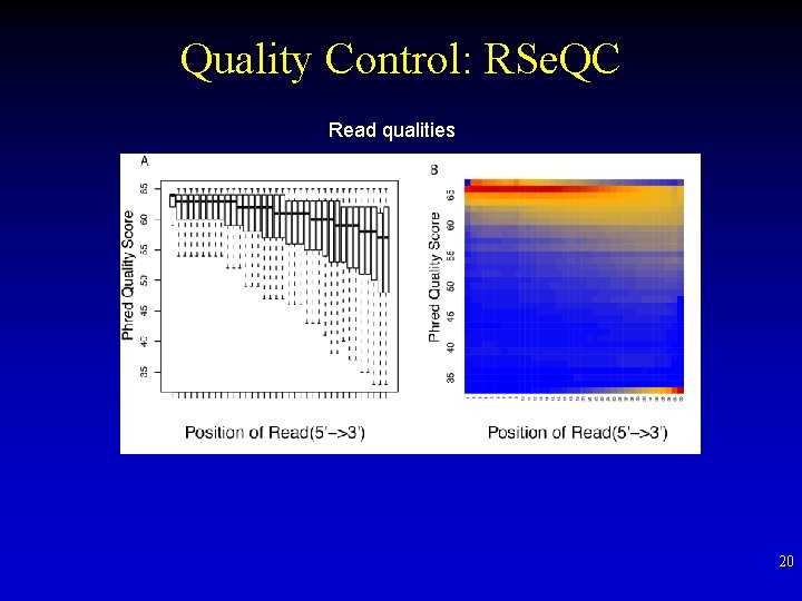 Quality Control: RSe. QC Read qualities 20 
