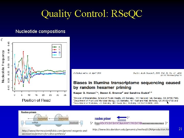 Quality Control: RSe. QC Nucleotide compositions 21 