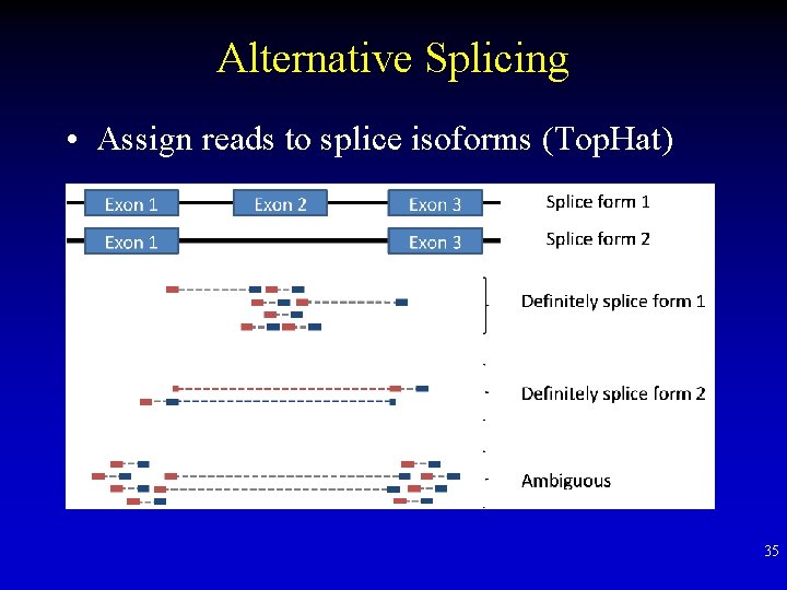 Alternative Splicing • Assign reads to splice isoforms (Top. Hat) 35 