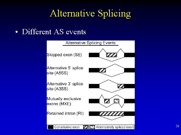 Alternative Splicing • Different AS events 36 