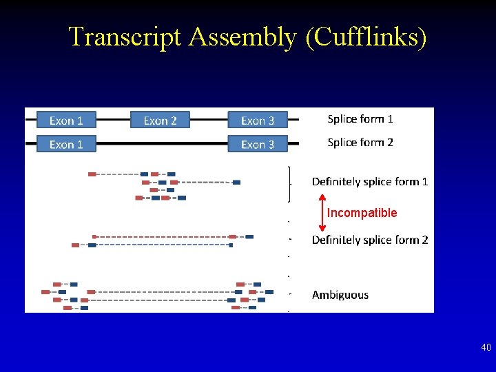 Transcript Assembly (Cufflinks) Incompatible 40 