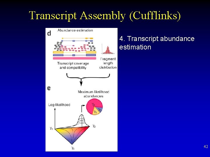 Transcript Assembly (Cufflinks) 4. Transcript abundance estimation 42 