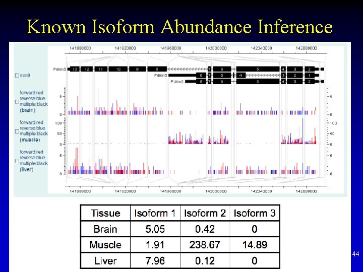 Known Isoform Abundance Inference 44 