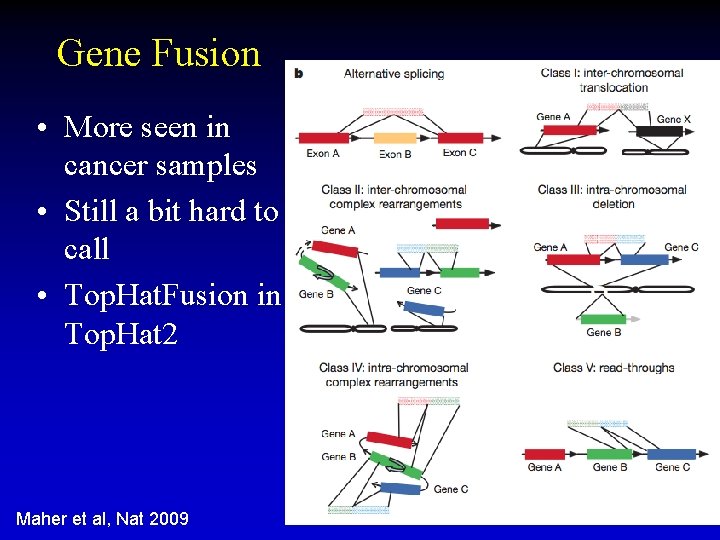 Gene Fusion • More seen in cancer samples • Still a bit hard to