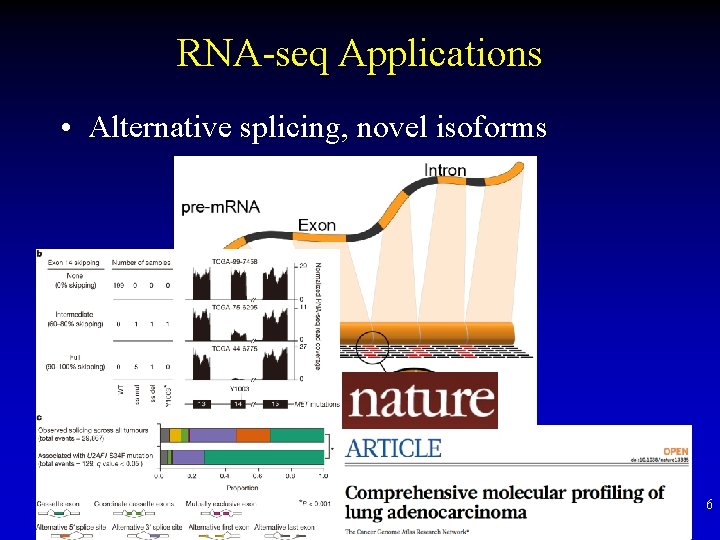 RNA-seq Applications • Alternative splicing, novel isoforms 6 