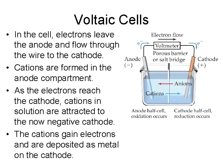 Voltaic Cells • In the cell, electrons leave the anode and flow through the