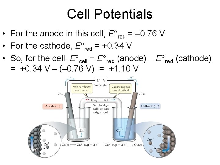 Cell Potentials • For the anode in this cell, E°red = – 0. 76