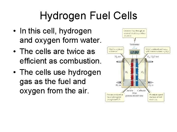 Hydrogen Fuel Cells • In this cell, hydrogen and oxygen form water. • The