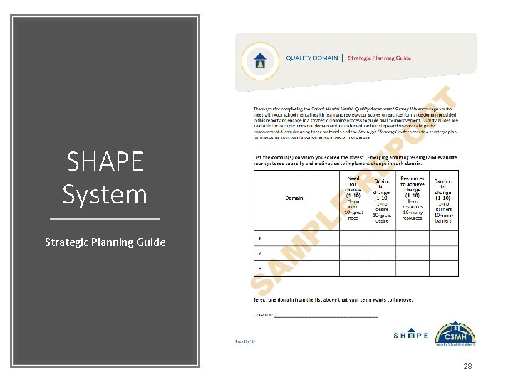 SHAPE System Strategic Planning Guide 28 