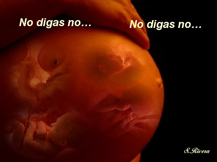 No digas no… No digas no…